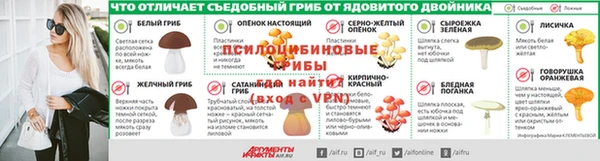 СК Липки