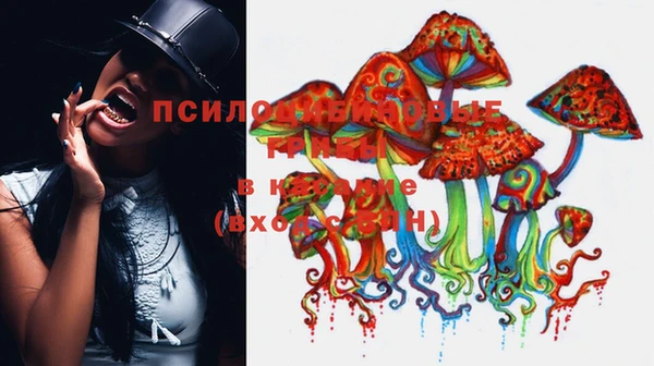 СК Липки