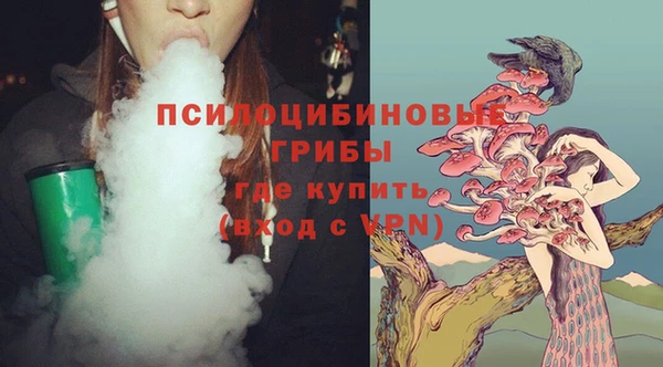 СК Липки
