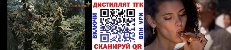 Купить  Аркадак  ТГК THC oil 